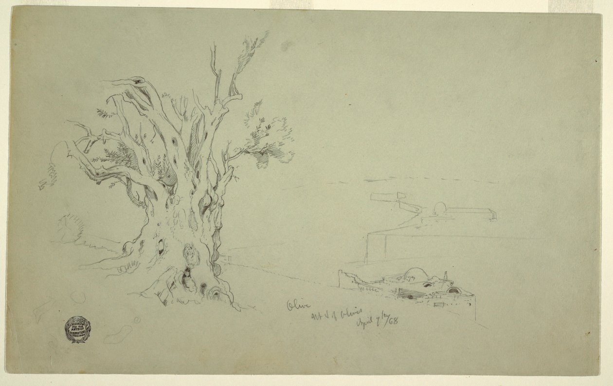 素描，橄榄树，奥利弗山，1868 年 4 月 作者 弗雷德里克·埃德温·丘奇