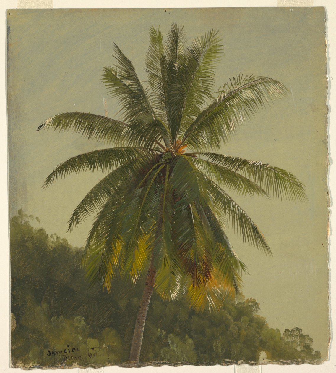 绘画，棕榈树，西印度群岛，1865 年 6 月，1865 年 作者 弗雷德里克·埃德温·丘奇