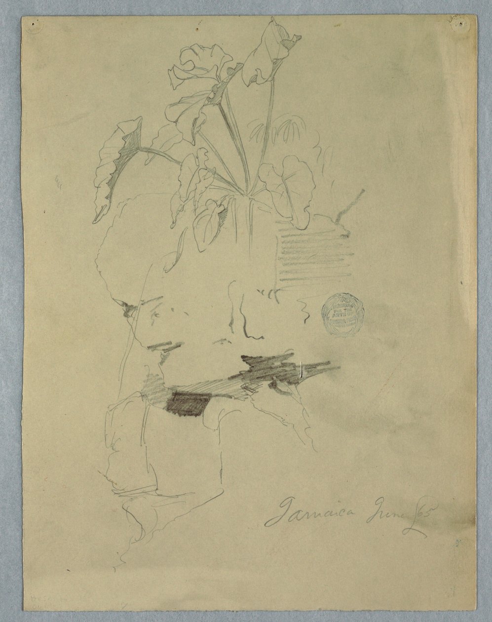 图画，生长在岩石上方的菲洛德林[]，牙买加，1865 年 6 月 作者 弗雷德里克·埃德温·丘奇