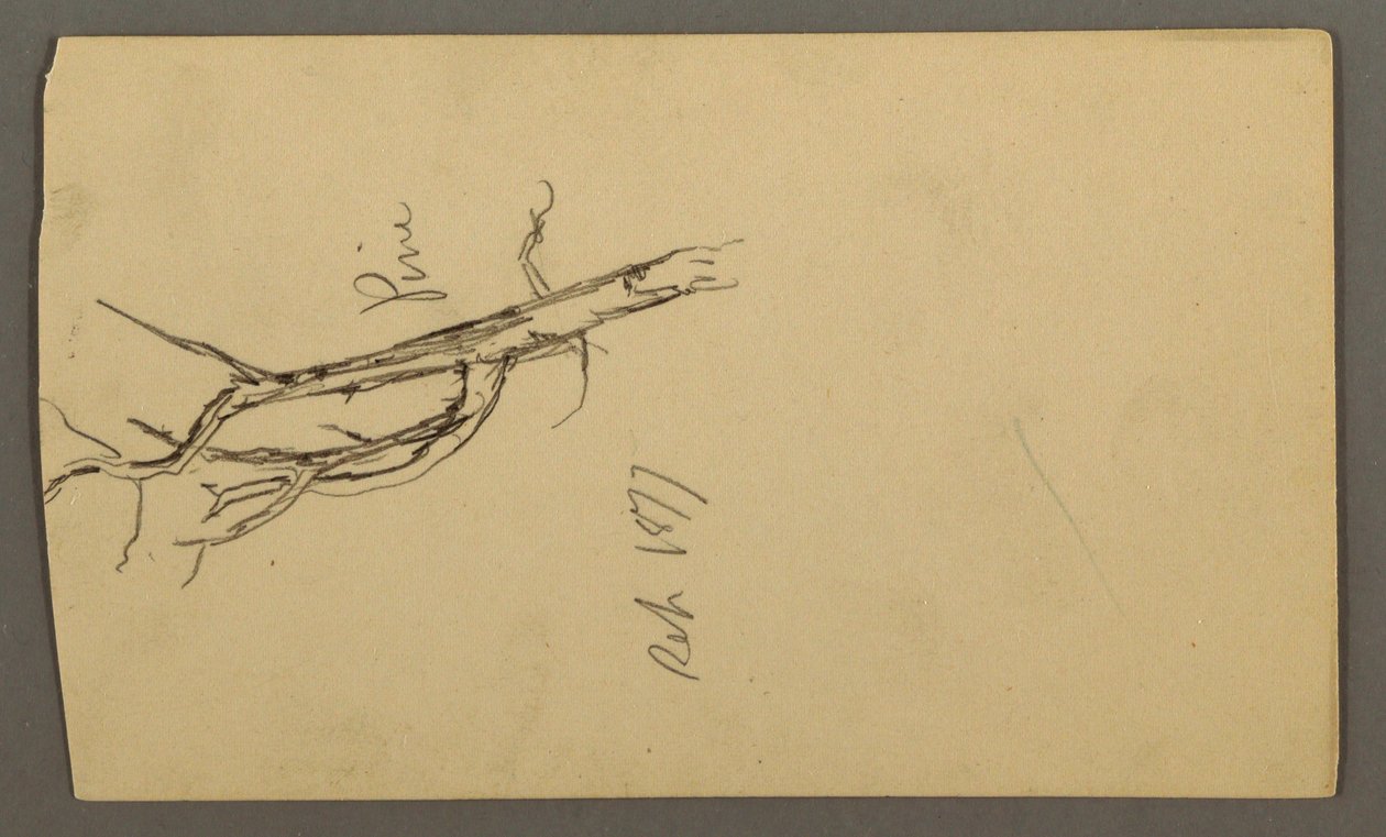 绘画，松树，1877 年 9 月 作者 弗雷德里克·埃德温·丘奇