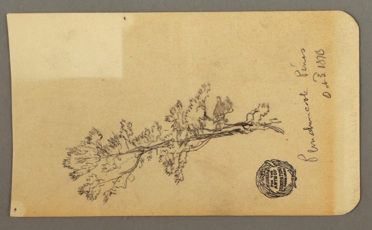 绘画，松树，1878 年 10 月 3 日 作者 弗雷德里克·埃德温·丘奇