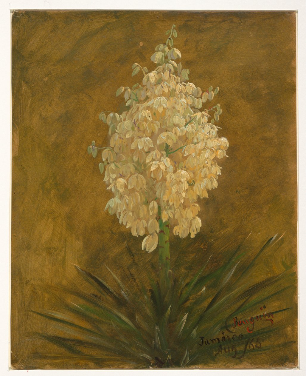 素描，植物开花，1865 年 8 月 作者 弗雷德里克·埃德温·丘奇