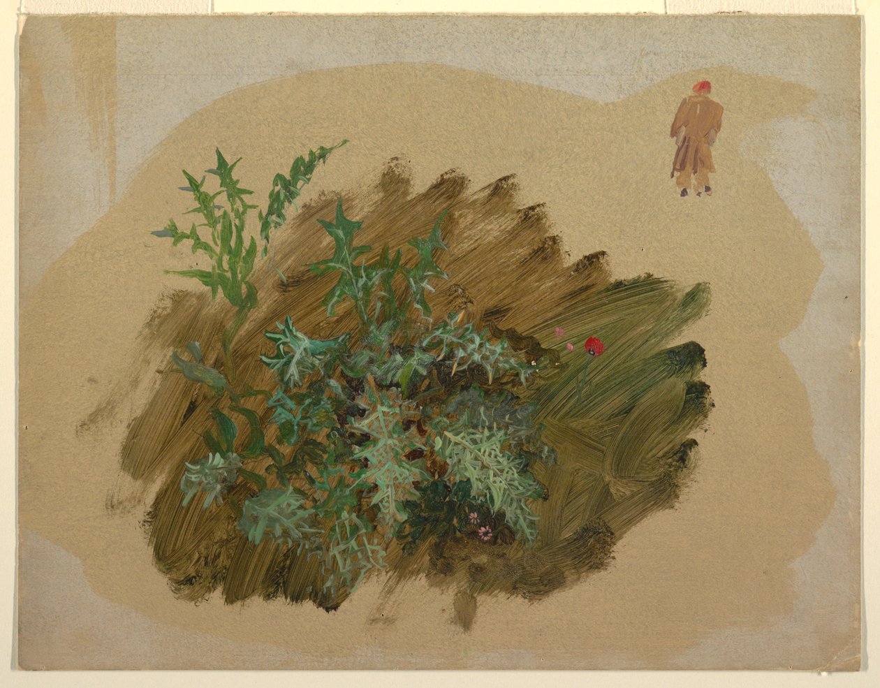 素描，植物研究，1865 年 作者 弗雷德里克·埃德温·丘奇