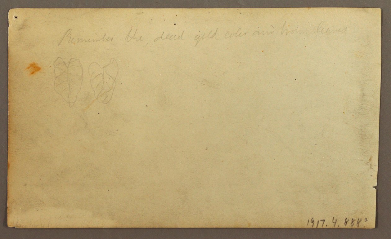 素描，厄瓜多尔或哥伦比亚村庄附近的利莫纳河；背面：树叶，1857 年 作者 弗雷德里克·埃德温·丘奇