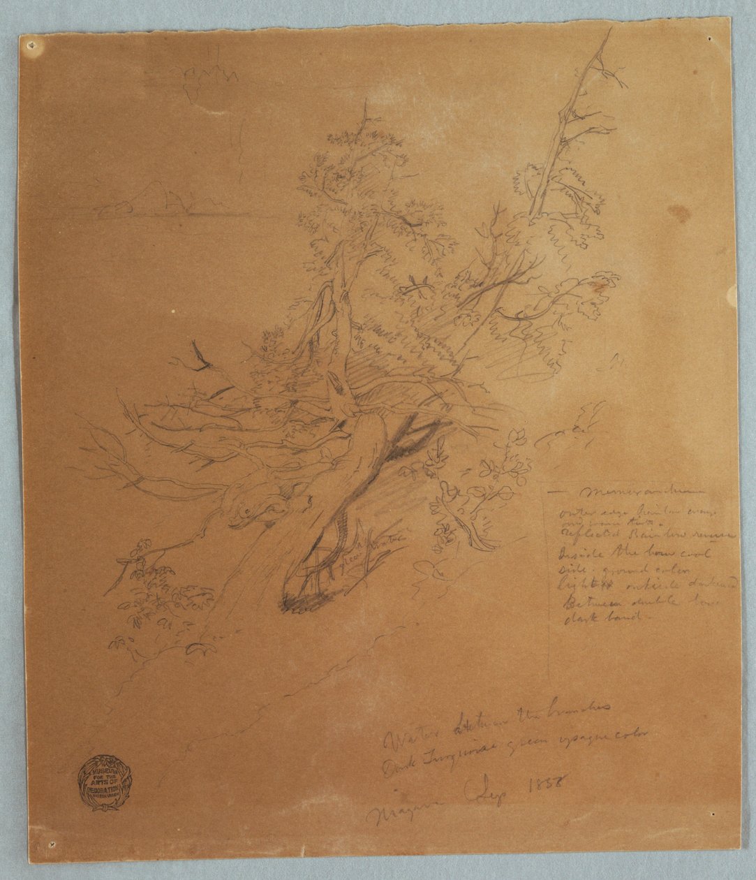 素描，尼亚加拉瀑布下加拿大银行的崎岖树木，1856 年 9 月 作者 弗雷德里克·埃德温·丘奇