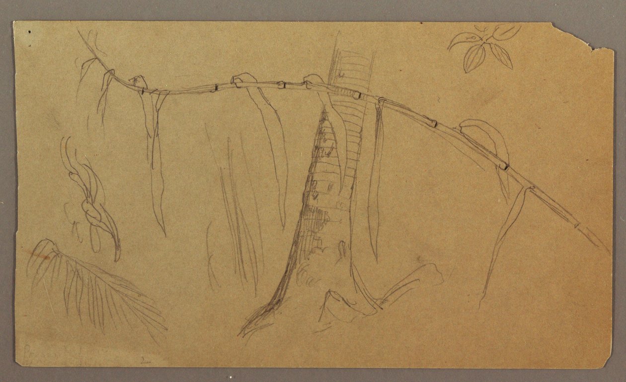 素描，海景，1865 年 作者 弗雷德里克·埃德温·丘奇