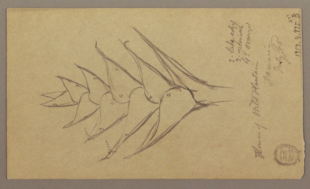 素描，海景，1865 年 4 月 29 日 作者 弗雷德里克·埃德温·丘奇