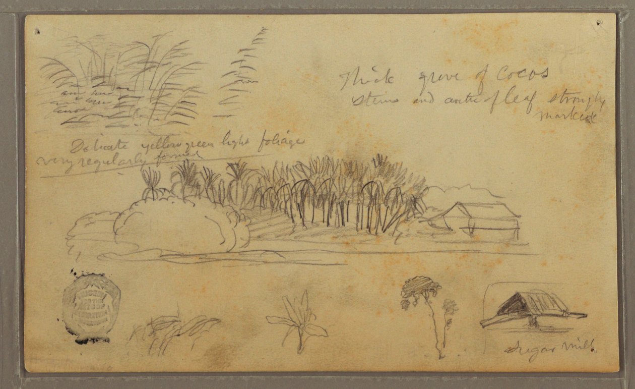 素描，厄瓜多尔或哥伦比亚；背面：素描，厄瓜多尔或哥伦比亚，1857 年 作者 弗雷德里克·埃德温·丘奇