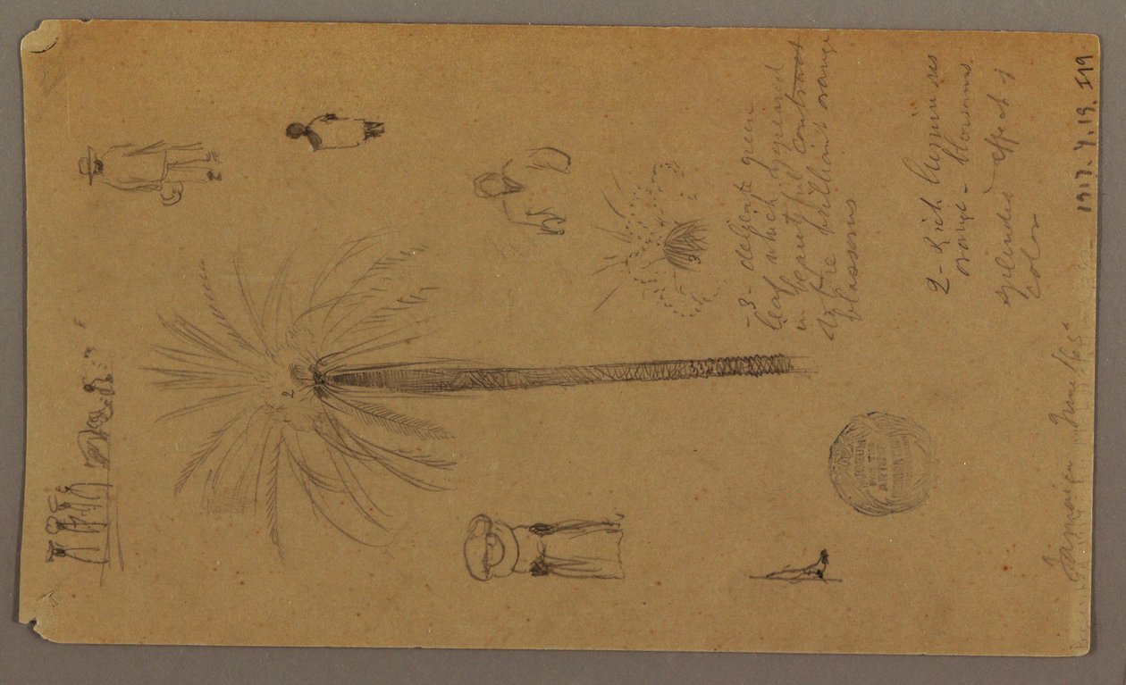 素描，西印度群岛牙买加素描，1865 年 6 月 作者 弗雷德里克·埃德温·丘奇