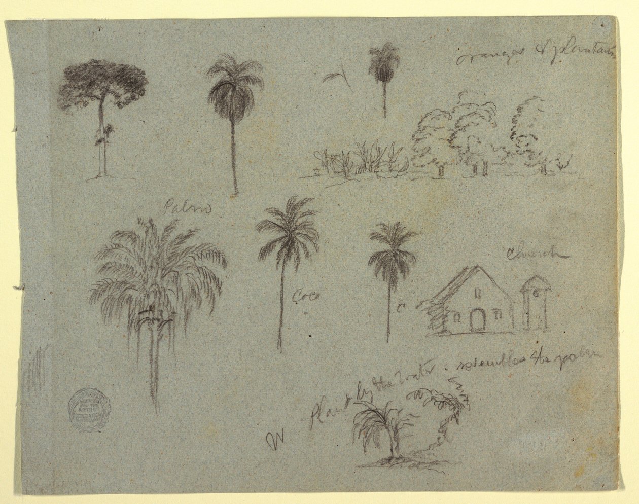 素描，《哥伦比亚马格达林河素描》：  植物研究和一座教堂，1853 年 5 月 作者 弗雷德里克·埃德温·丘奇