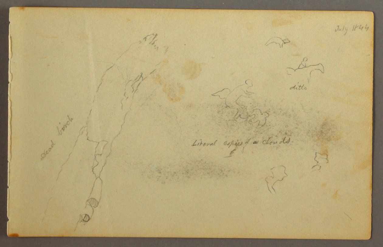 素描，云和枯桦素描，1844 年 7 月 作者 弗雷德里克·埃德温·丘奇