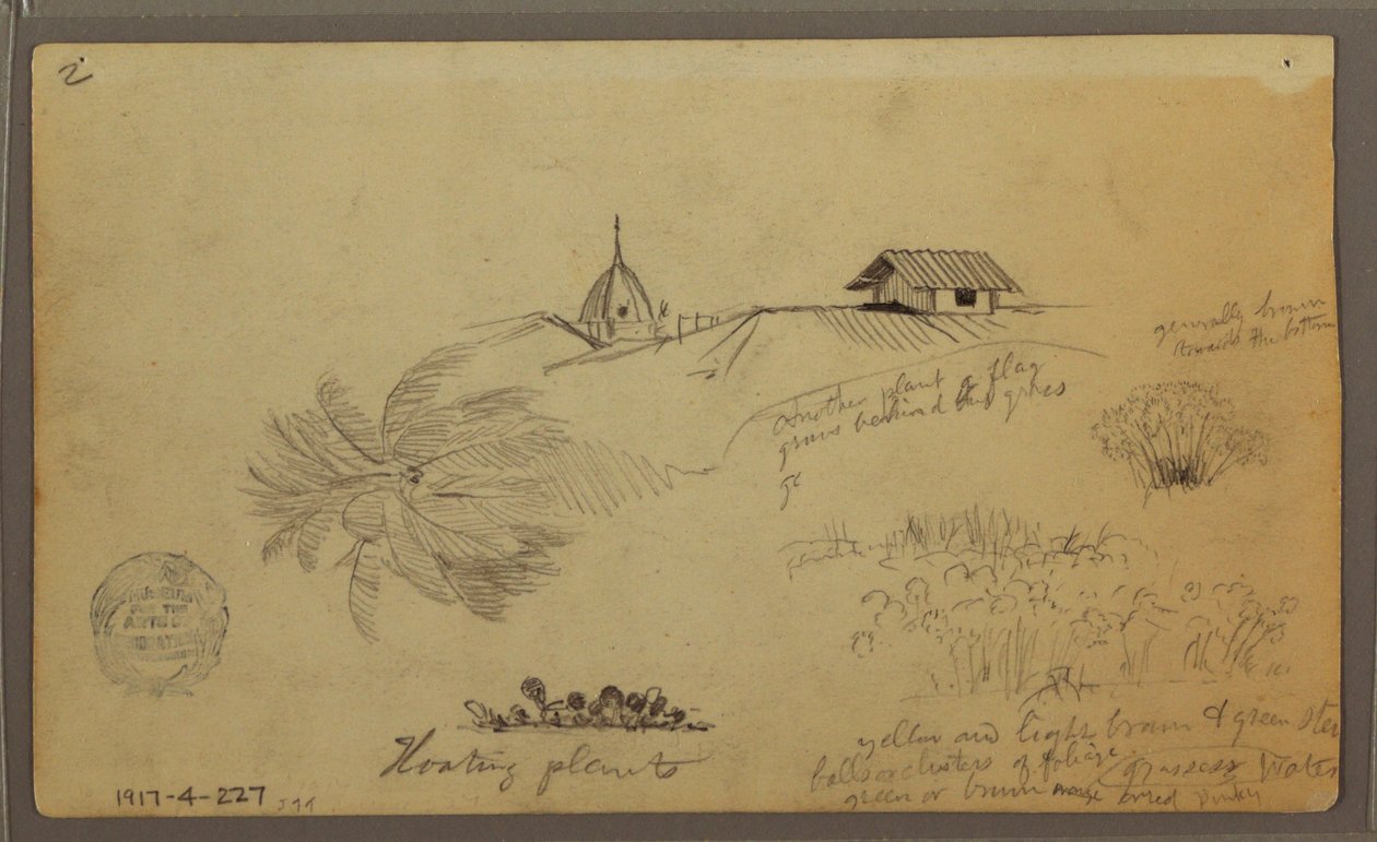 素描，《海天一色》；背面：植物素描，《屋顶》，1857 年 5 月 作者 弗雷德里克·埃德温·丘奇