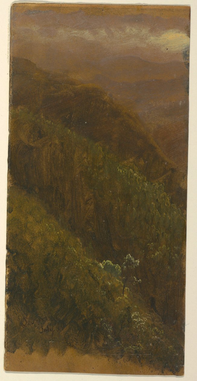 绘图，陡峭的山坡，1865 年 7 月 作者 弗雷德里克·埃德温·丘奇