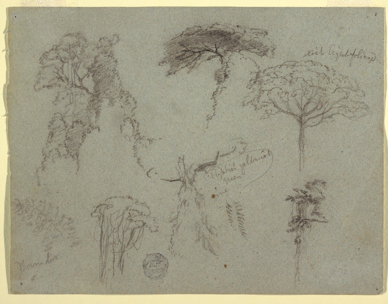 素描，《树木研究》，厄瓜多尔，1853 年 作者 弗雷德里克·埃德温·丘奇