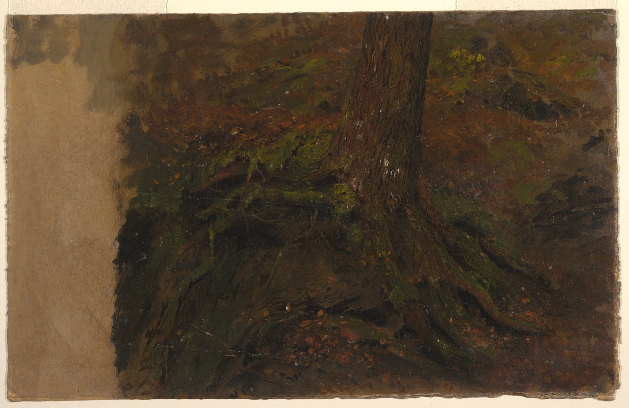 素描，树干研究，1850-60 年 作者 弗雷德里克·埃德温·丘奇