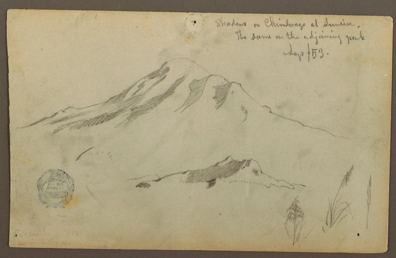素描，钦博拉索山的日出和草地的三个细节，1853 年 9 月 作者 弗雷德里克·埃德温·丘奇