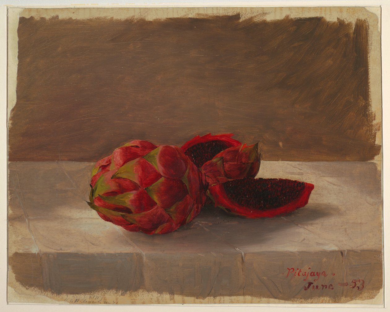 绘画，《皮塔加亚水果》，哥伦比亚，1853 年 6 月 作者 弗雷德里克·埃德温·丘奇