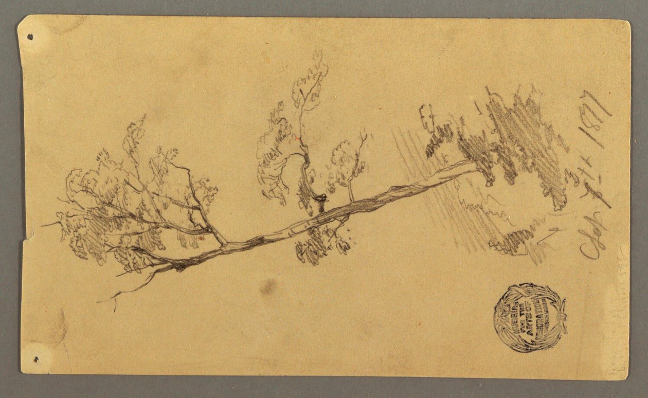 绘画，树，1877 年 作者 弗雷德里克·埃德温·丘奇