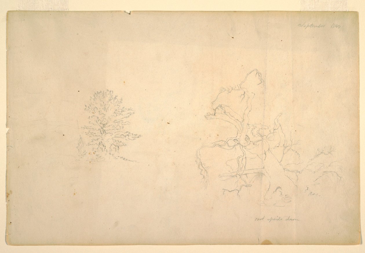 素描，树和枯树干，1844 年 9 月 作者 弗雷德里克·埃德温·丘奇