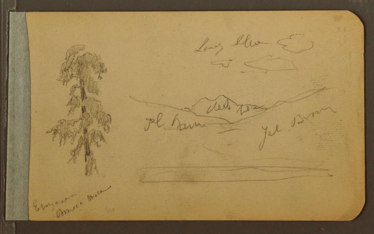 素描, 树, 山, 1889年 作者 弗雷德里克·埃德温·丘奇