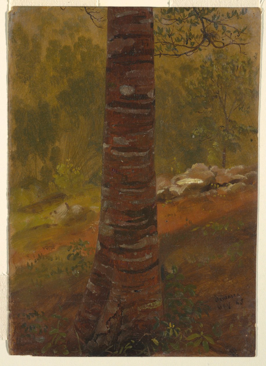 绘画，树干，1865 年 5 月 作者 弗雷德里克·埃德温·丘奇
