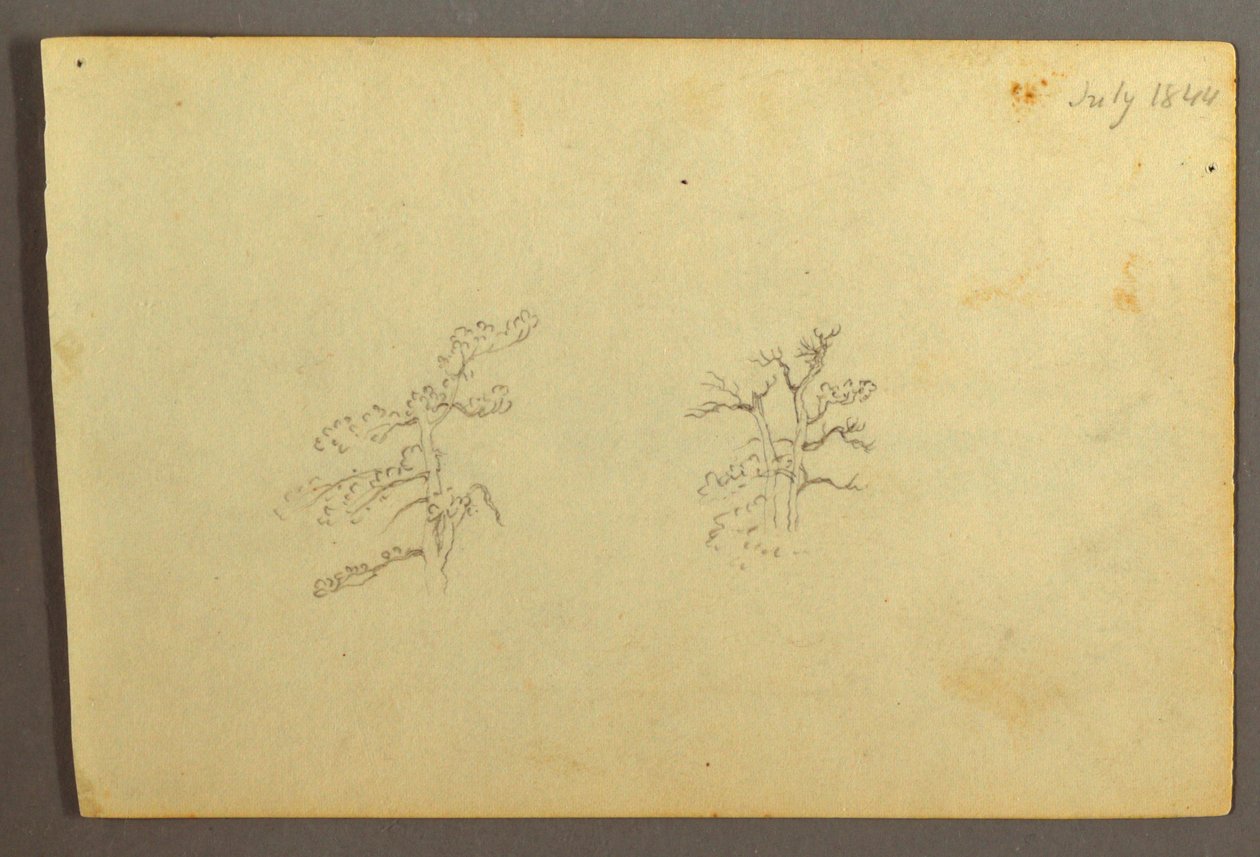 绘画，树木，1844 年 7 月 作者 弗雷德里克·埃德温·丘奇