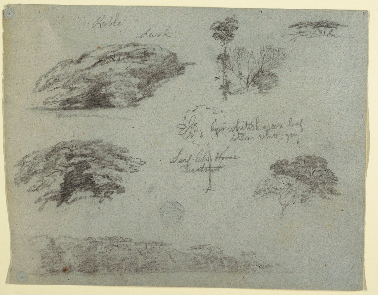 素描，缅因州马鞍背的树木、树梢和林木茂密的河岸，1853 年 作者 弗雷德里克·埃德温·丘奇