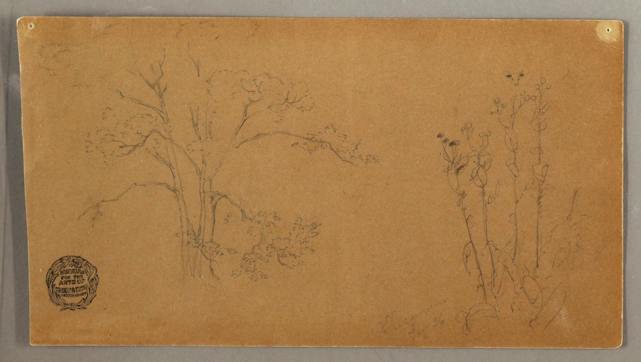 绘画，树木和植物，埃利坎佩，1856 年 9 月 作者 弗雷德里克·埃德温·丘奇