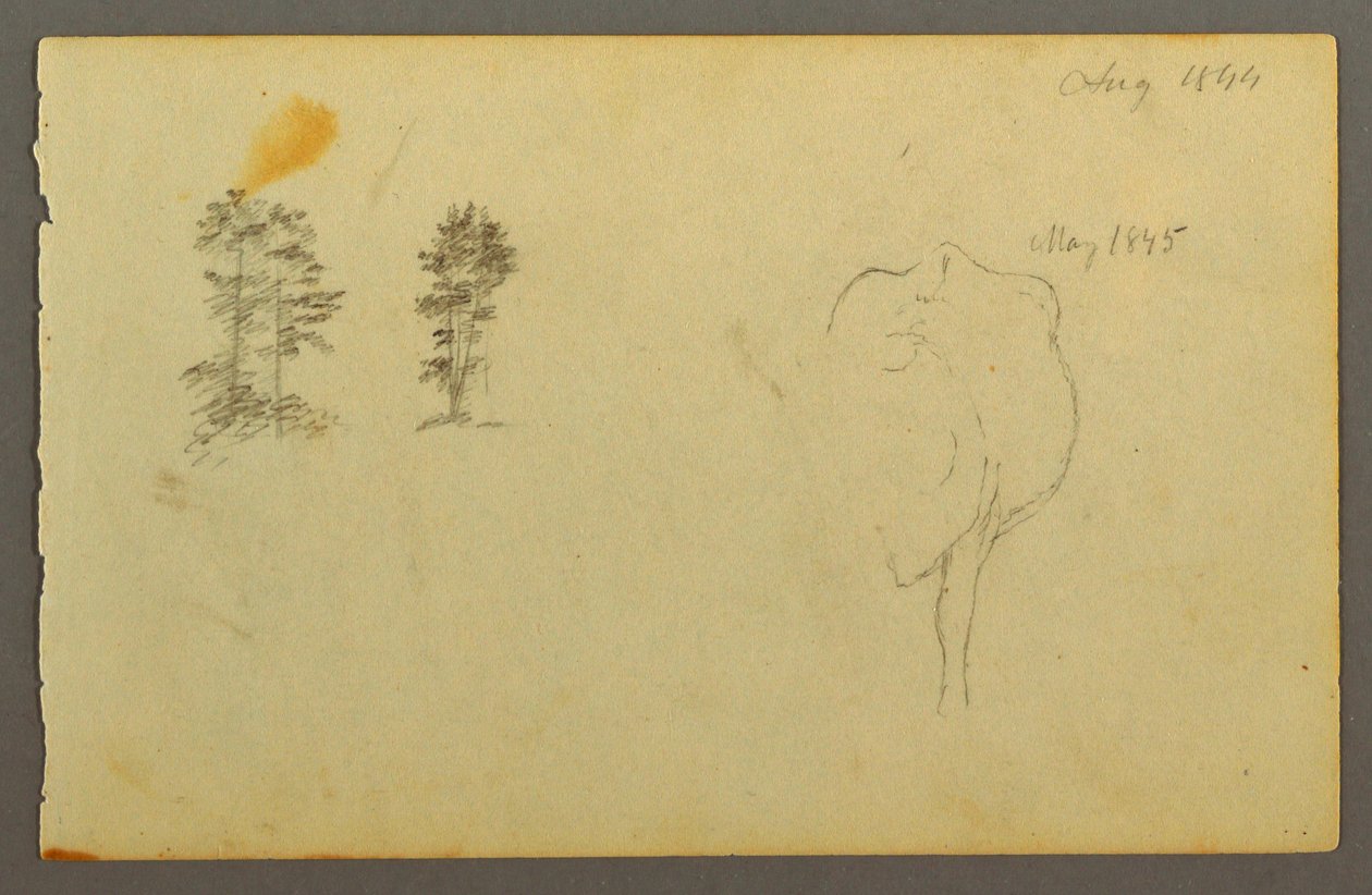 绘画，树，牛，1844 年 作者 弗雷德里克·埃德温·丘奇