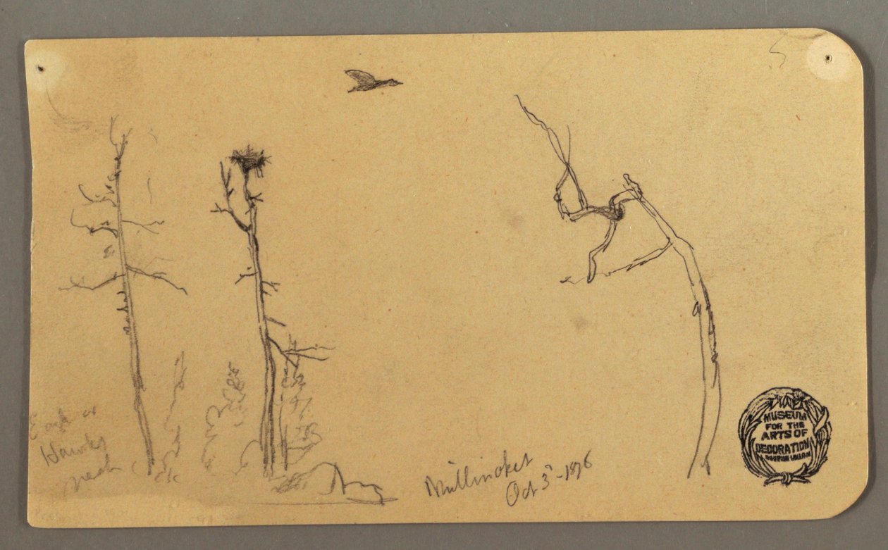 素描，树木，飞鸟，1877 年 作者 弗雷德里克·埃德温·丘奇