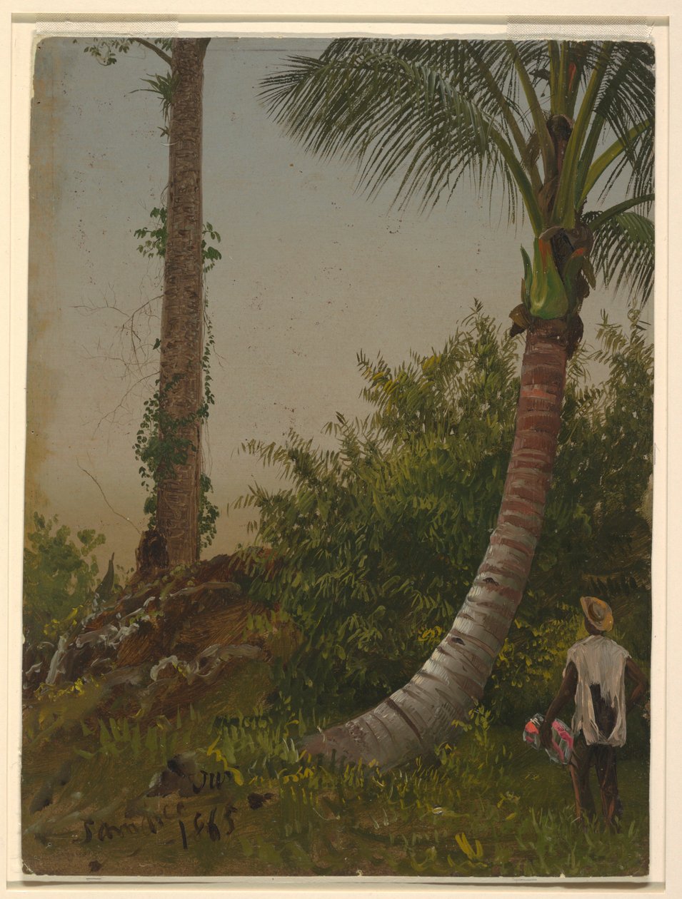 绘画，西印度群岛牙买加的树木，1865 年 作者 弗雷德里克·埃德温·丘奇