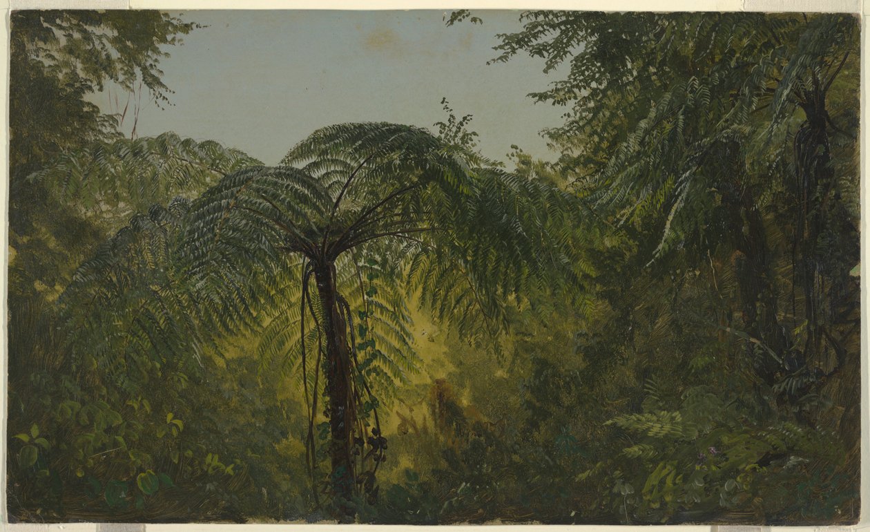 素描，热带风景，1865 年 6 月或 7 月 作者 弗雷德里克·埃德温·丘奇