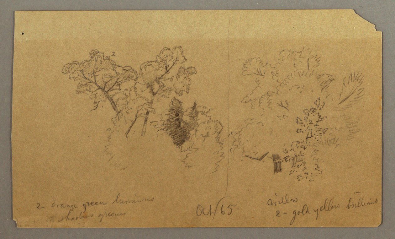 素描，两棵树的研究，1865 年 10 月 作者 弗雷德里克·埃德温·丘奇