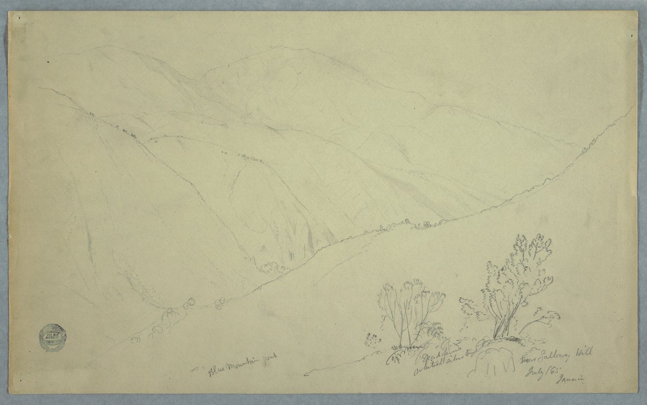 绘图，1865 年 7 月，从牙买加萨洛维山附近看到的蓝山山顶景观 作者 弗雷德里克·埃德温·丘奇