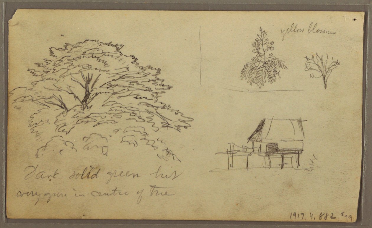 素描，厄瓜多尔瓜亚基尔风景，1857 年 5 月 23 日 作者 弗雷德里克·埃德温·丘奇