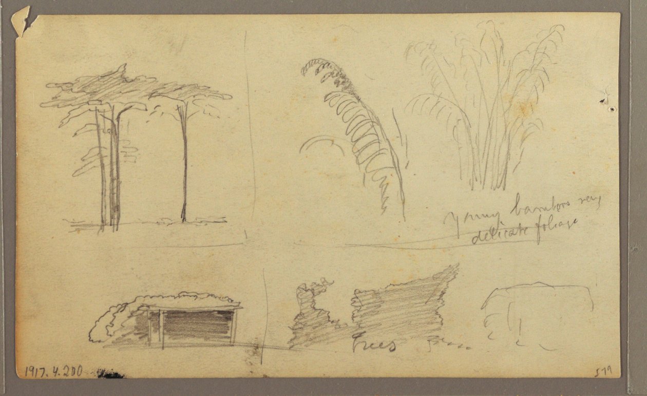 绘图，瓜亚斯河东岸景观，厄瓜多尔瓜亚基尔对面，1857 年 5 月 作者 弗雷德里克·埃德温·丘奇