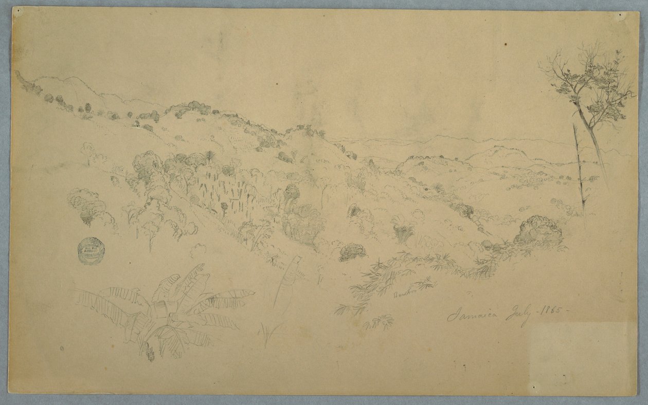 素描，有大片蕨类植物和远处山脉的森林谷地，牙买加，1865 年 7 月 作者 弗雷德里克·埃德温·丘奇