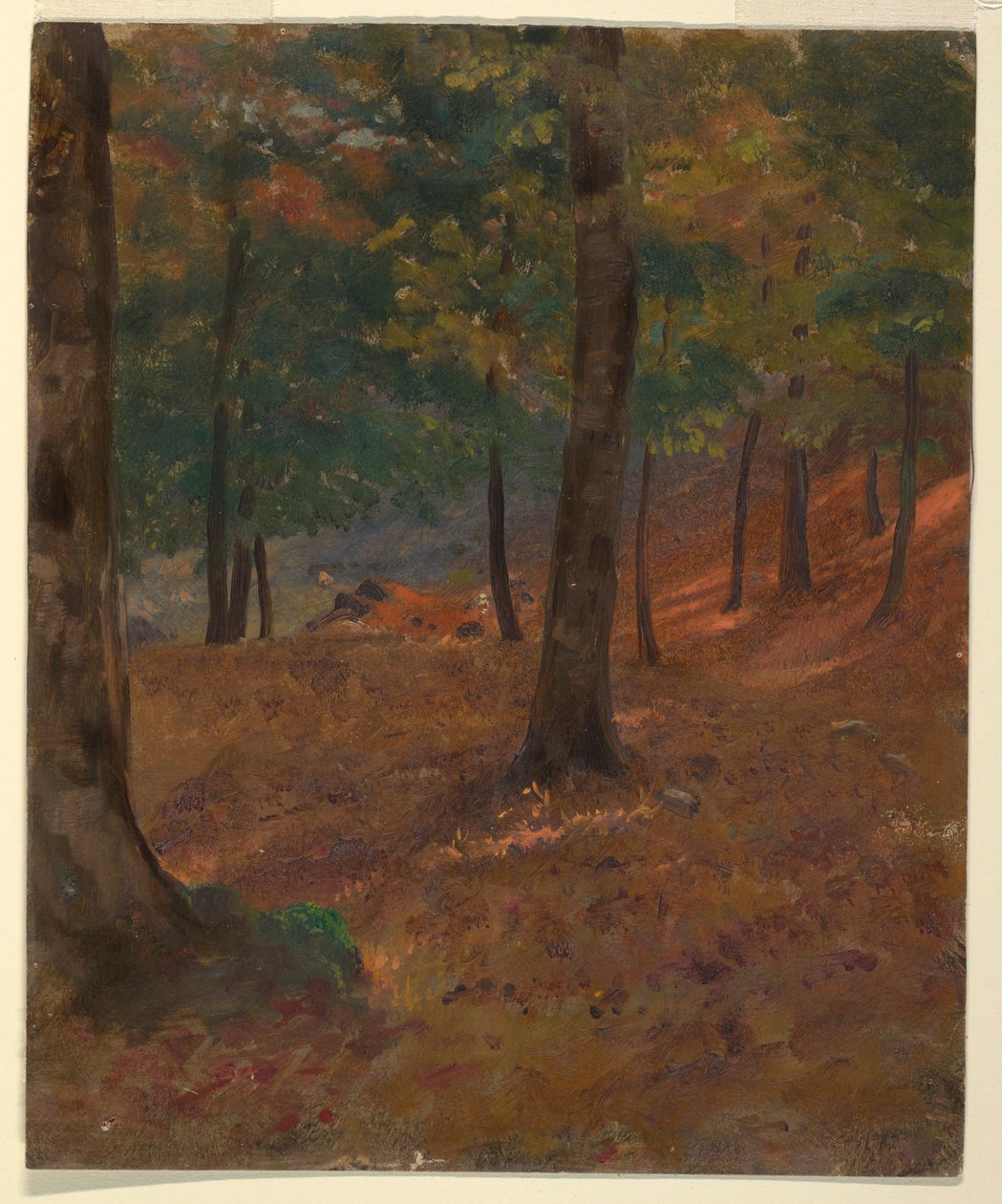 素描，林地场景，1870-80 年 作者 弗雷德里克·埃德温·丘奇