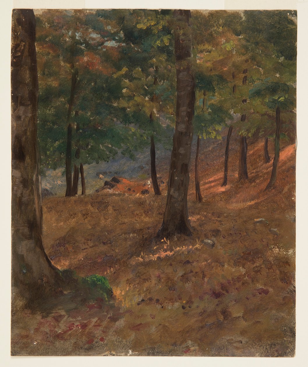 素描，林地场景，1870-80 年 作者 弗雷德里克·埃德温·丘奇