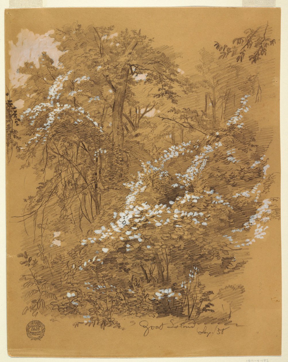 素描，林地场景，山羊岛，尼亚加拉河，纽约，1858 年 9 月 作者 弗雷德里克·埃德温·丘奇