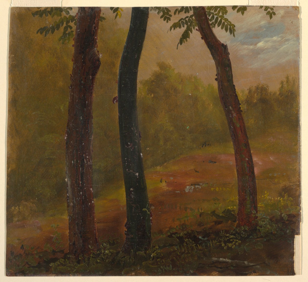 素描，林地场景，牙买加，1865 年 作者 弗雷德里克·埃德温·丘奇