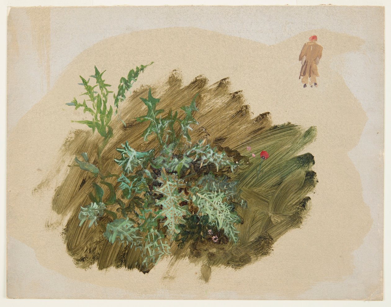 植物研究 作者 弗雷德里克·埃德温·丘奇