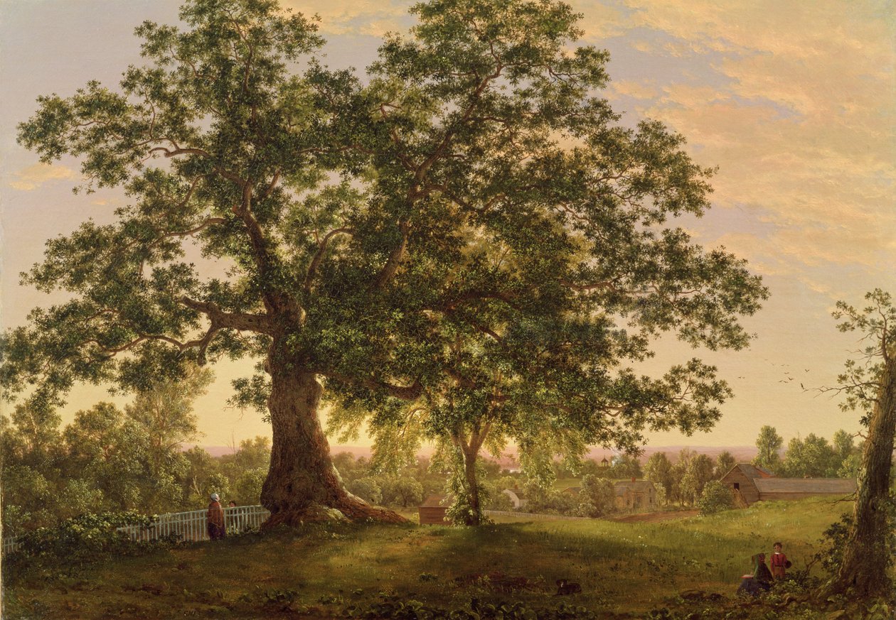 在哈特福德的Charter Oak，c.1846 作者 弗雷德里克·埃德温·丘奇