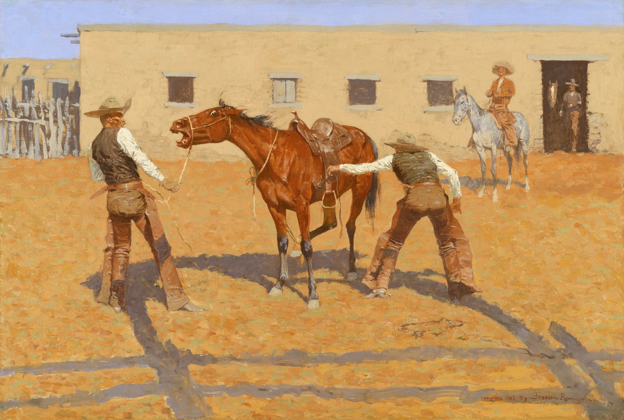 弗雷德里克-雷明顿的《他的第一个莱松》，1903 年 作者 弗雷德里克·雷明顿