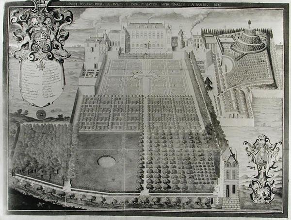 国王药用植物园，1636年 作者 弗雷德里克·斯卡尔伯格