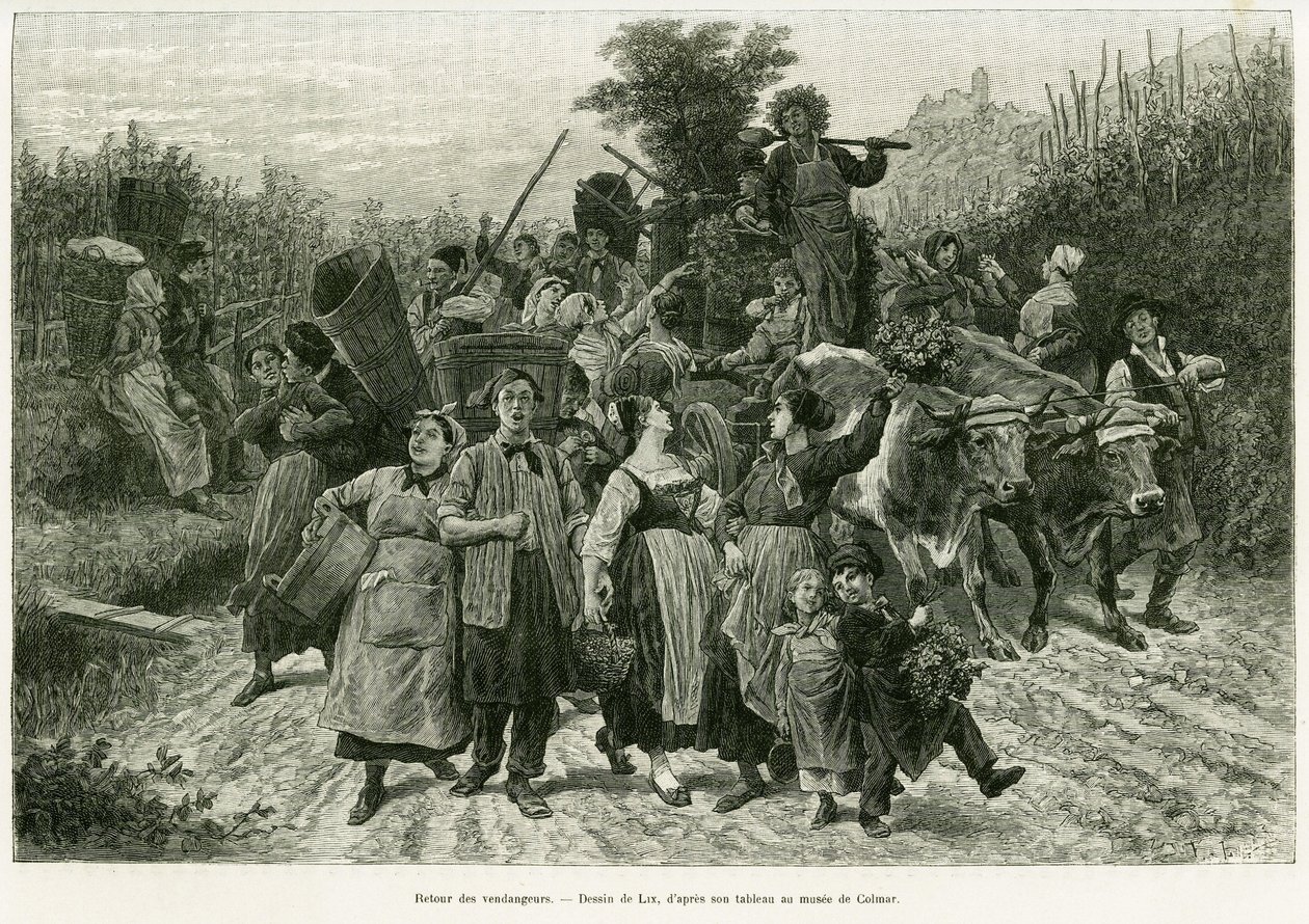丰收的回归。利克斯的版画，为1887年德国副总统查尔斯-格拉德在爱德华-沙特（1807-1890）指导的1888年世界之旅的故事《穿越阿尔萨斯和洛林》作插图，巴黎哈谢特出版社。 作者 弗雷德里克·西奥多·利克斯