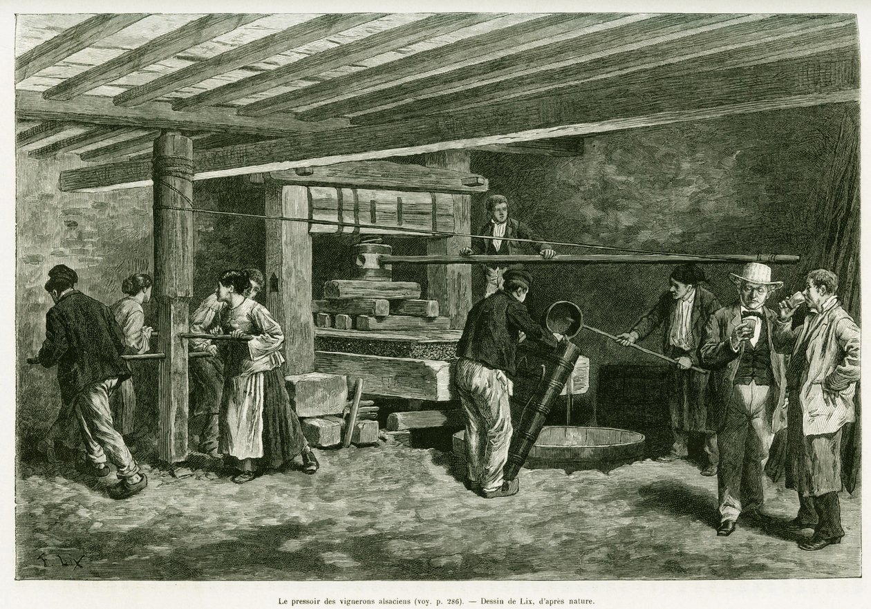 阿尔萨斯酿酒师的榨酒机。利克斯的版画，为1887年德国副总统查尔斯-格拉德在爱德华-沙尔东（1807-1890）指导的世界之旅中的《穿越阿尔萨斯和洛林》的故事作插图，巴黎哈谢特出版社。 作者 弗雷德里克·西奥多·利克斯