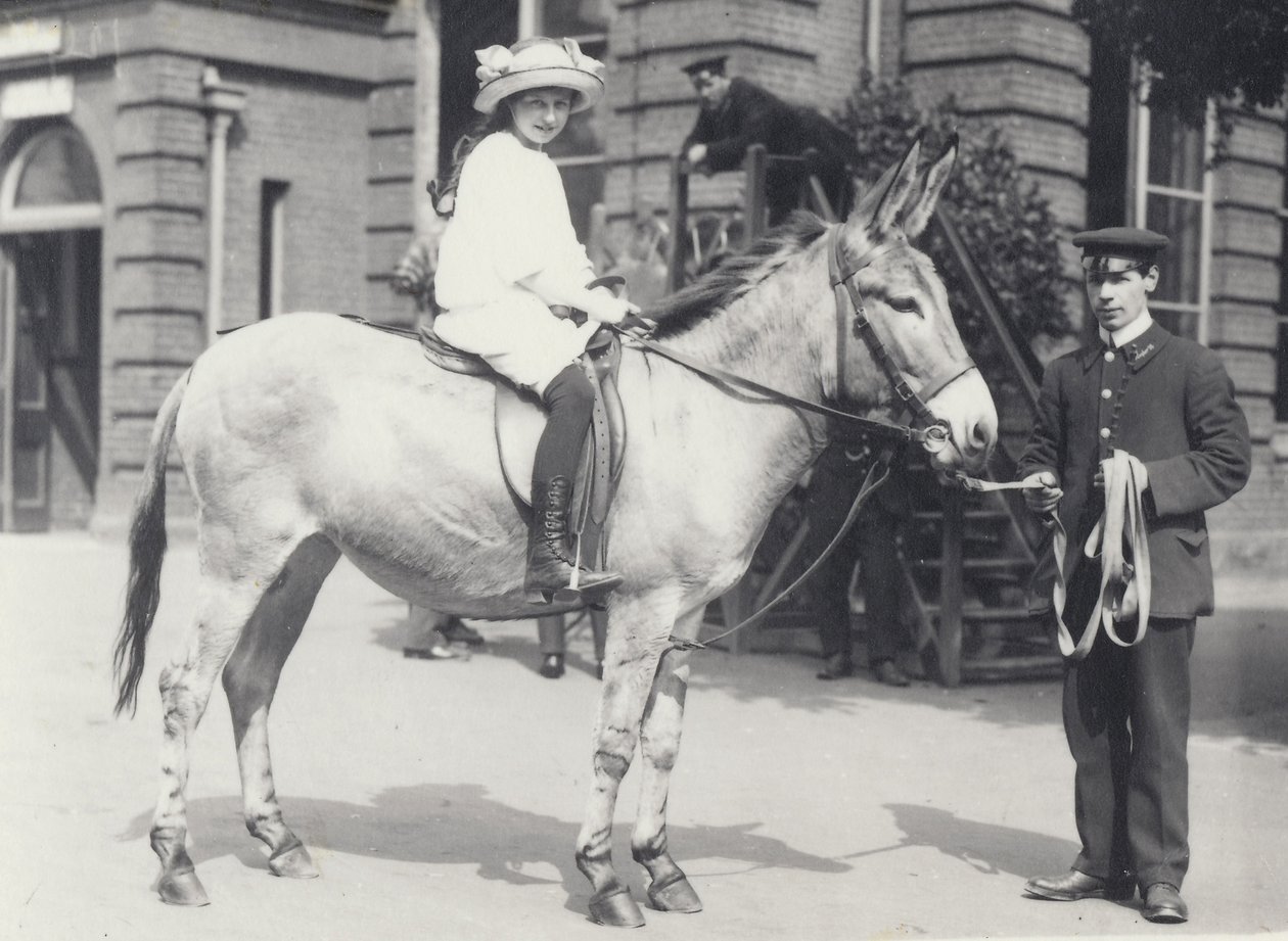 1914年5月伦敦动物园，一名年轻女士骑着一个由一名门将领导的屁股而另一名看着 作者 弗雷德里克·威廉·邦德