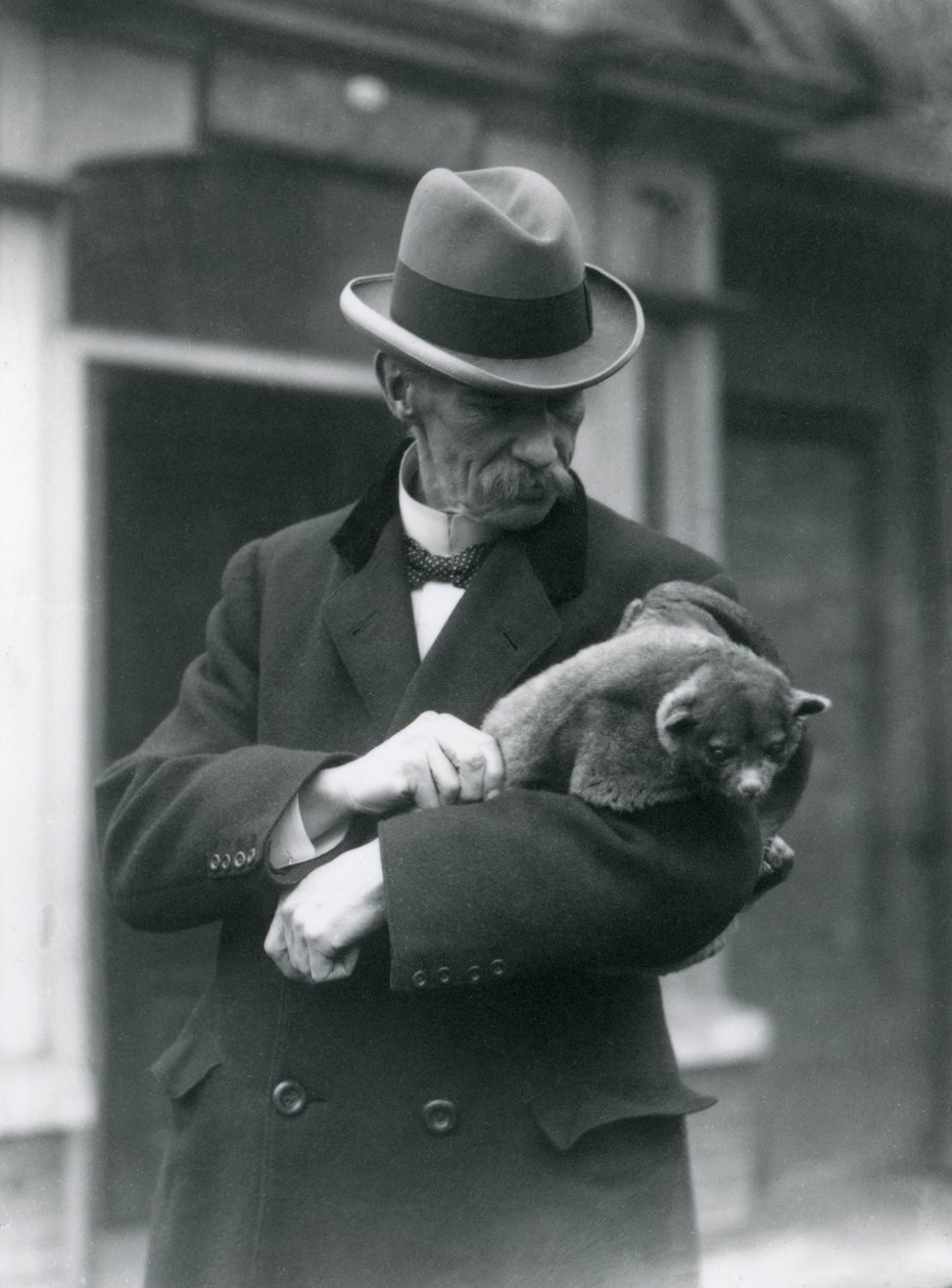 Reginald Innes Pocock FRS持有kinkajou，伦敦动物园，1923年（bw照片） 作者 弗雷德里克·威廉·邦德