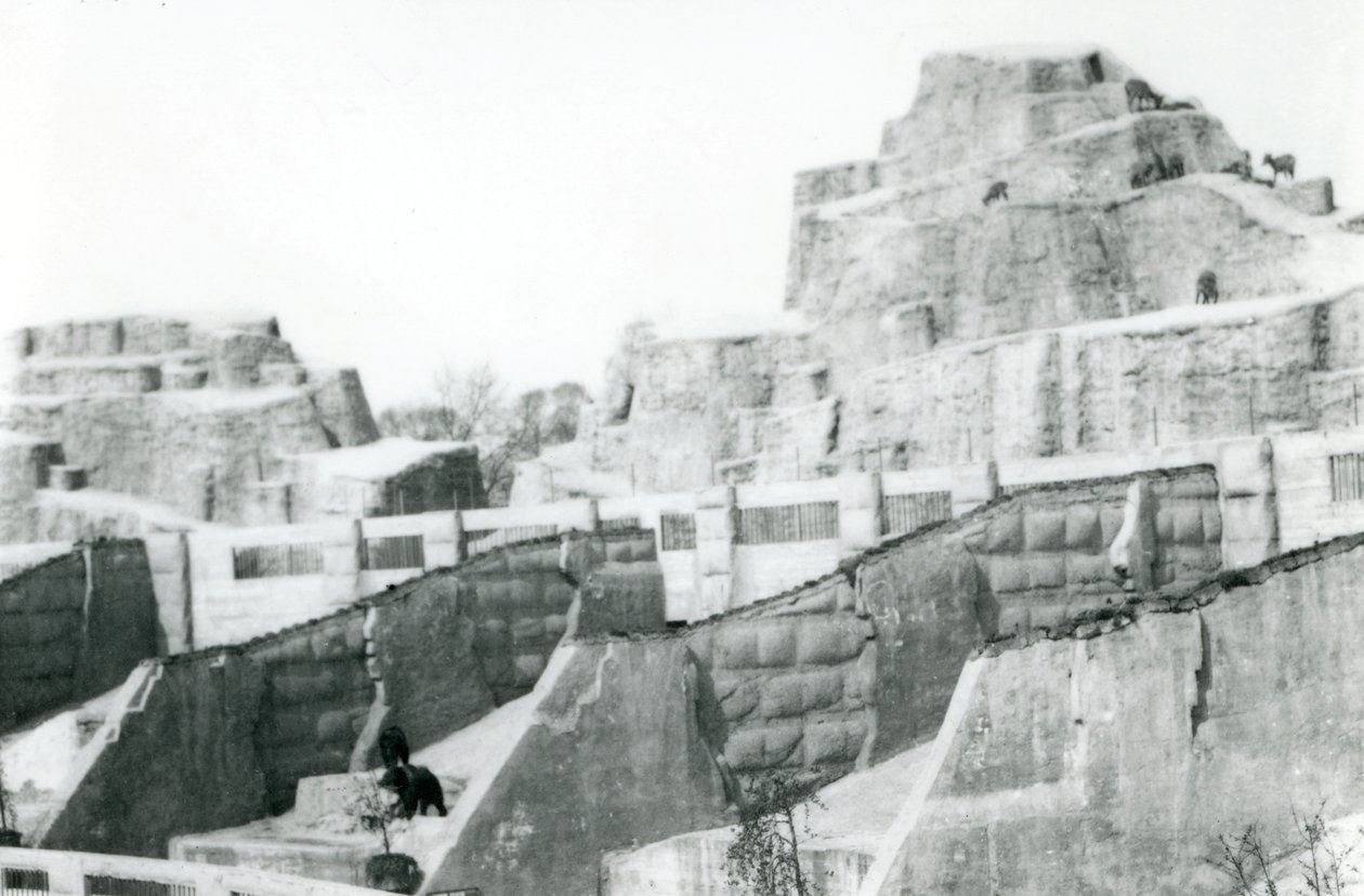 1922年，伦敦动物园的Mappin Terraces 作者 弗雷德里克·威廉·邦德
